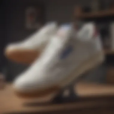 Magnificent Reebok C85 Vintage: A Detailed Exploration of the Classic Sneaker