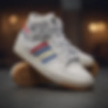 Variety of Adidas Forum Styles A collection of adidas Forum sneakers showcasing diversity in style
