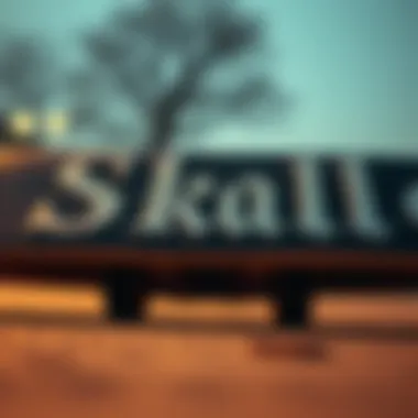 Typography and Lettering in Skateboard Branding Lettering and typography choices for branding