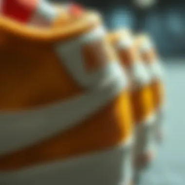 Material Detailing of Nike Blazers Low Detailing on the materials used in Nike Blazers Low