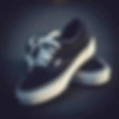 Care Tips for Black Vans Shoes A well-maintained pair of black Vans shoes demonstrating care tips