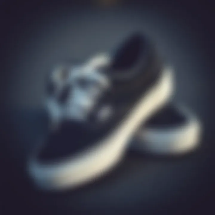 Care Tips for Black Vans Shoes A well-maintained pair of black Vans shoes demonstrating care tips