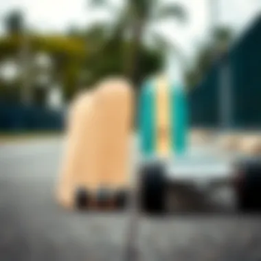 Comparison of Cruiser Longboard Deck Shapes Side-by-side comparison of various cruiser longboard deck shapes and sizes