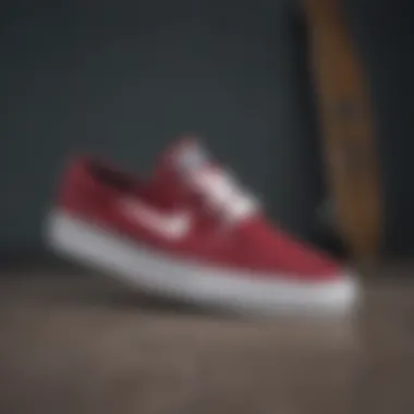 Styles and Collaborations of Janoski Shoes Variety of Janoski shoe styles and collaborations
