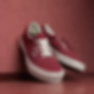 Stylish maroon Vans with gum sole against a vibrant backdrop