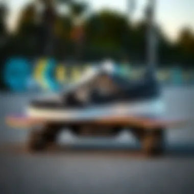 Integration in Skate Culture Nike Black and White Low sneaker on a skateboard illustrating its use in skate culture