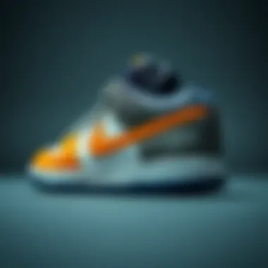 An iconic Nike SB sneaker showcasing its unique design and colorway