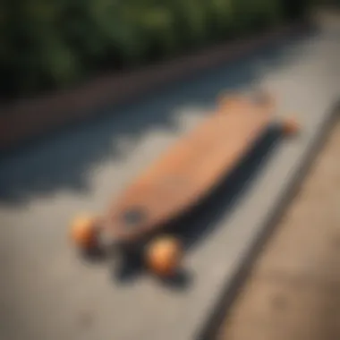 Diverse Selection of High-Quality Longboards High-quality longboards displayed in a vibrant outdoor setting