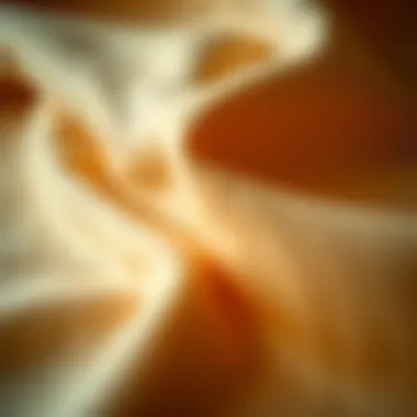 Quality Fabric Up Close Close-up of high-quality sweatshirt fabric showcasing its texture and durability