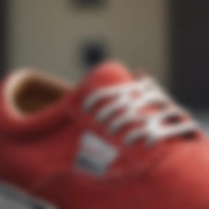 Close-up of the texture of red suede Vans shoes