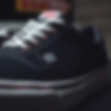 Detailed Look at Size 17 Vans A close-up of size 17 Vans showcasing the intricate design and stitching