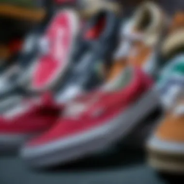 Variety of Vans in Size 17 A display of various Vans models in size 17, emphasizing the variety available for skaters