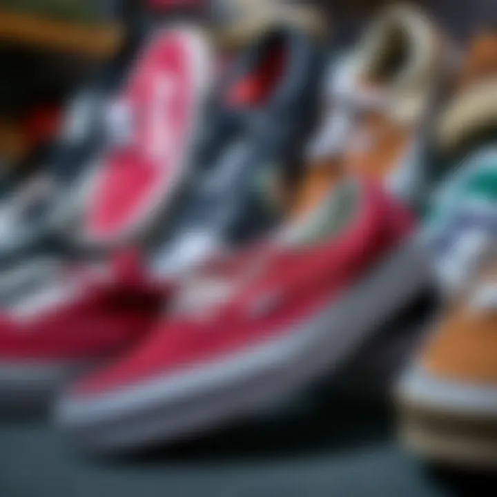 Variety of Vans in Size 17 A display of various Vans models in size 17, emphasizing the variety available for skaters