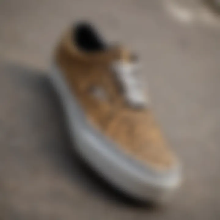 Close-up of cheetah print Vans design