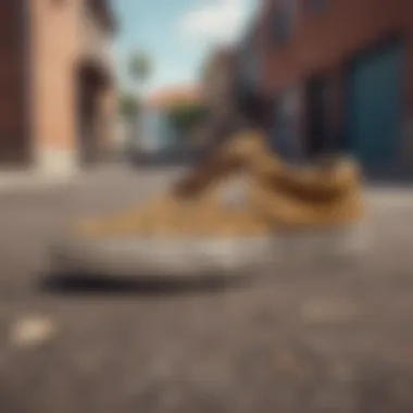 Cheetah Print Vans in Urban Culture Urban setting with cheetah print Vans