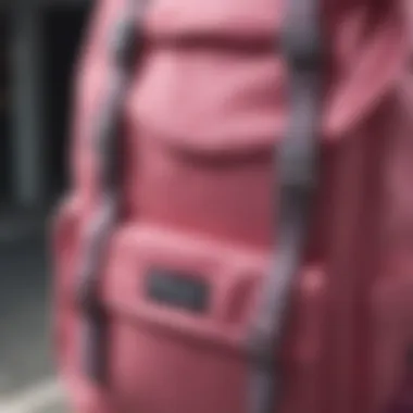 Close-up of the fabric and stitching of a pink Champion backpack