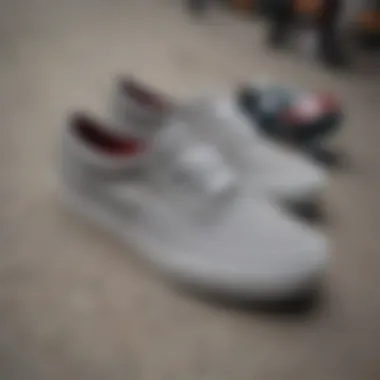 Stylish Grey Vans Shoes on a Skateboard Stylish grey Vans shoes on a skateboard