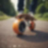 A close-up of longboard wheels on a scenic path