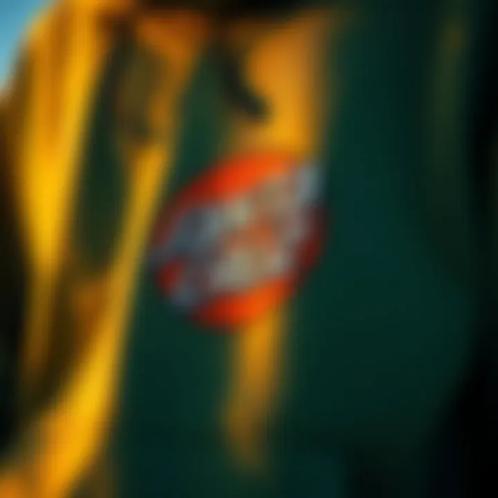 Historical evolution of the Santa Cruz logo through the years