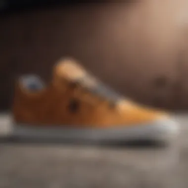 Close-up of DC shoes leather showcasing its texture and durability