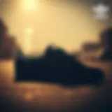 The classic silhouette of Adidas Spezial sneakers showcasing skate style