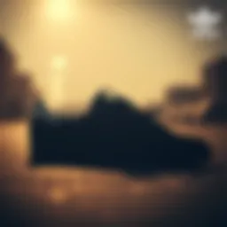 The classic silhouette of Adidas Spezial sneakers showcasing skate style