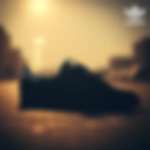 The classic silhouette of Adidas Spezial sneakers showcasing skate style