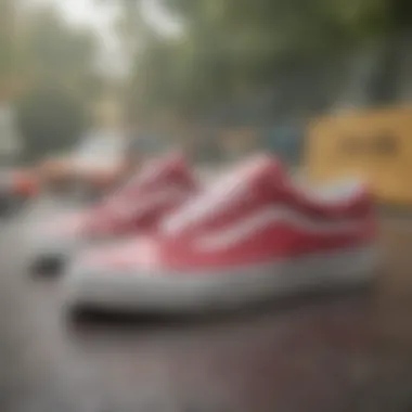 Comparison of Vans Cherry Checker with other skate shoe designs