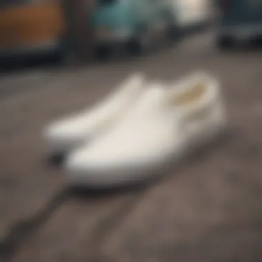 Color Variations of Vans Slip-On Marshmallow Various color options of Vans Slip-On Marshmallow displayed together