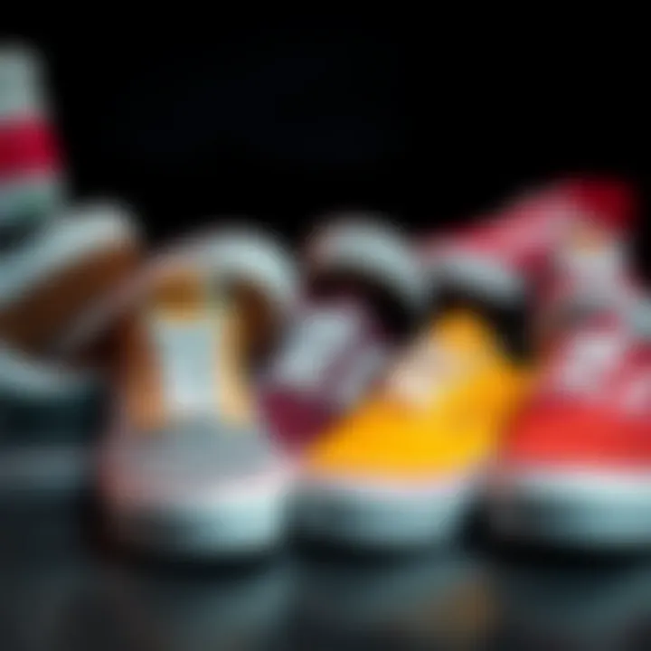 Variety of Vans Footwear Styles Variety of Vans footwear styles arranged creatively