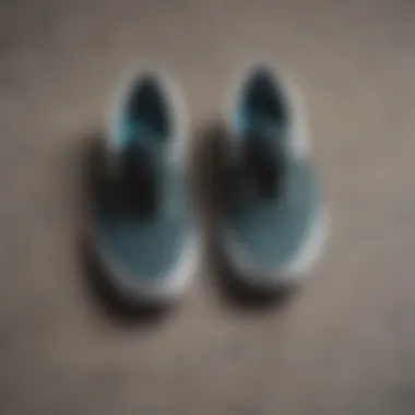 Unique Color Contrast of Two Tone Vans Slip-Ons Close-up view of two tone Vans slip-ons showcasing unique color contrast