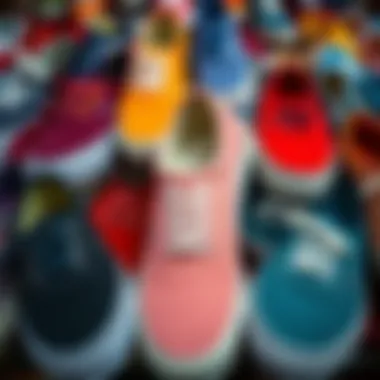 Diverse Color Palette of Vans Canvas Shoes Vans canvas shoes showcasing a variety of colors and patterns