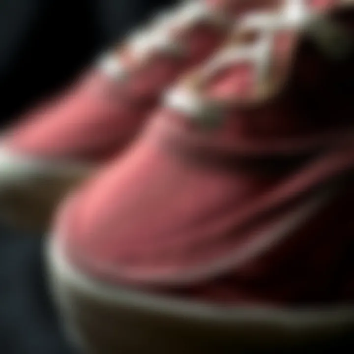 Detailing the Craftsmanship of Vans Canvas Shoes Close-up of Vans canvas shoe materials and stitching