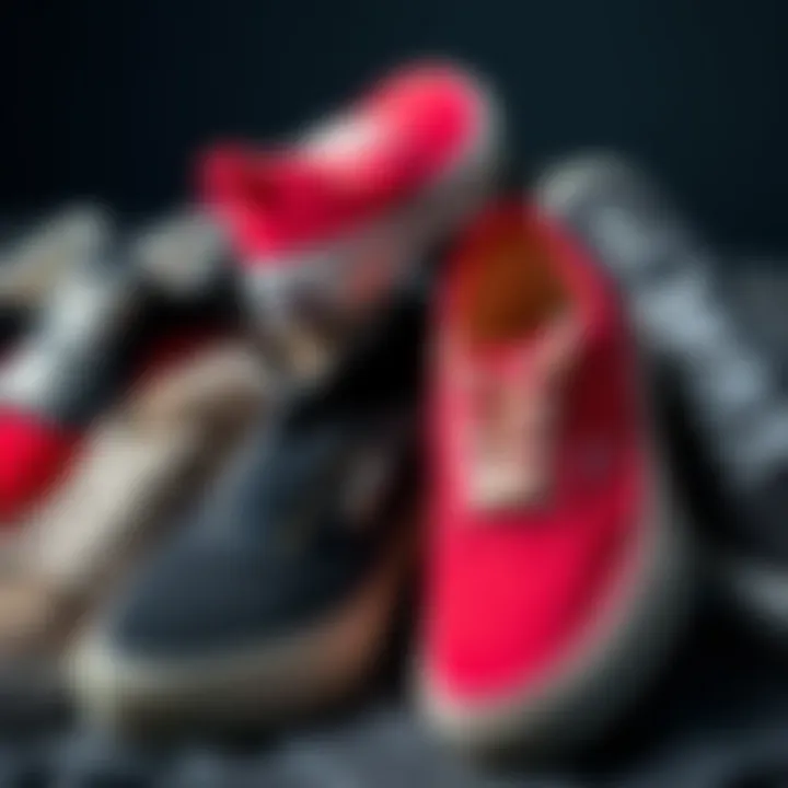 Variety of Styles in the Vans Canvas Shoe Collection Different styles of Vans canvas shoes displayed together