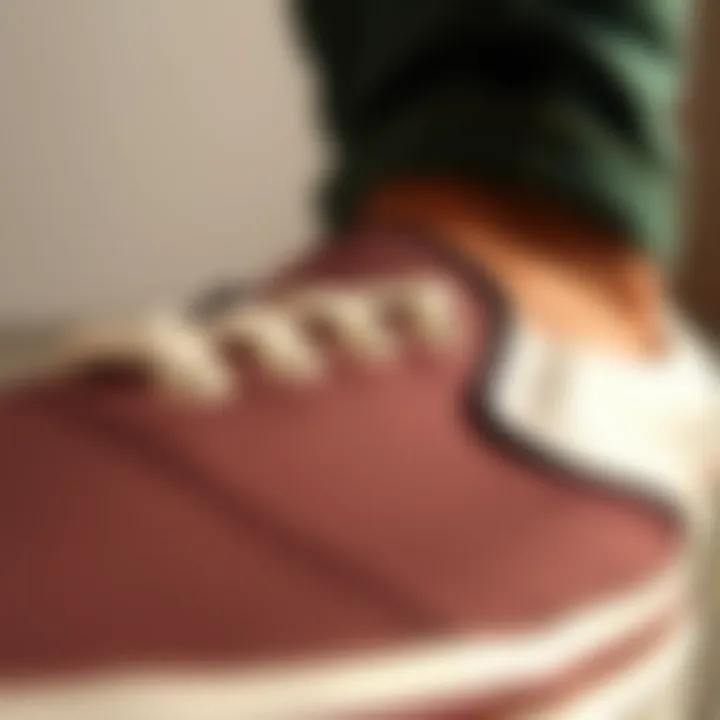 Design Details of Slide-On Vans Close-up of the unique design features of slide-on Vans