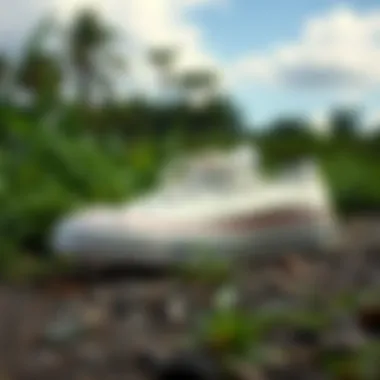 A serene outdoor scene reflecting the eco-friendly aspects of Converse manufacturing