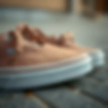 Close-up of Unique Design Features of Taupe Vans Close-up of taupe Vans showcasing unique design features