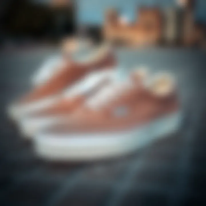 Stylish taupe Vans on Skateboarding Surface Stylish taupe Vans on skateboarding surface