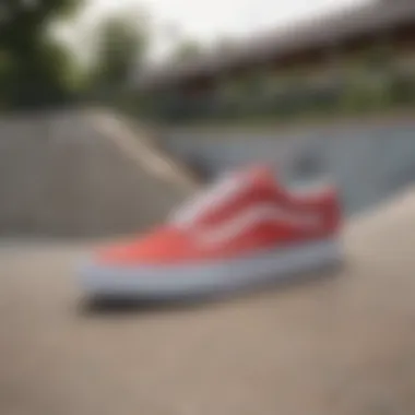 Vans Old Skool sneakers showcased in a skate park environment