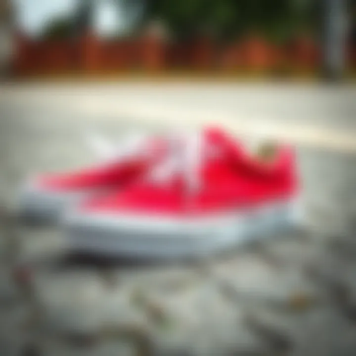 A well-maintained pair of red Vans sneakers highlighting care tips.