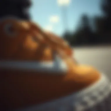 Close-up view of Janoski sneaker detailing highlighting design