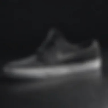 Close-Up of Nike SB Janoski Black Texture Close-up on the intricate texture and patterns of the Nike SB Janoski Black.