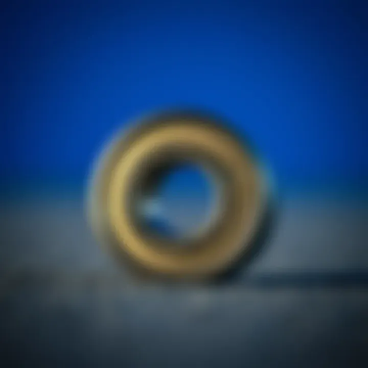 Detailed view of skateboard bearings illustrating their components