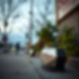 An example of a skateboard deterrent on a sidewalk