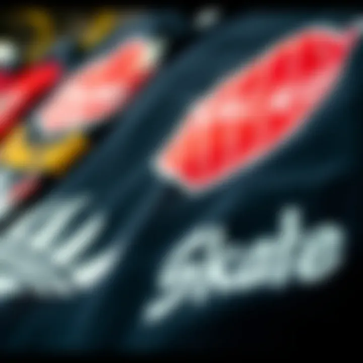 Unique Skate Graphics on Apparel A close-up of unique skateboard graphics and logos on clothing items