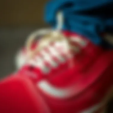 Close-up of Vans Old Skool design features