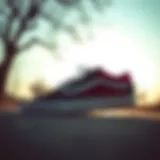 Historical evolution of Vans Old Skool shoes