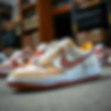 Historical Evolution of Skateboarding Footwear A historical display of iconic skateboarding shoes, with emphasis on the evolution of colorways like brown and white