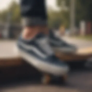 Different types of Vans shoes suitable for skateboarding