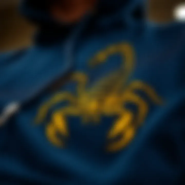 Intricate Scorpion Design Close-up of the scorpion motif on a hoodie